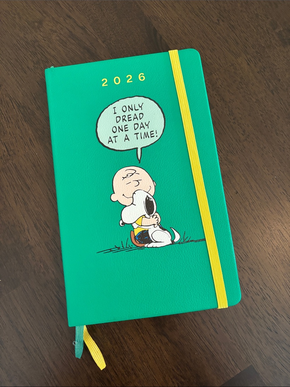 Destash SALE Moleskine Large 2026 Notebook Planner - few missing pages Snoopy